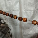 neu lackierte Korallen