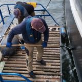 Streichen der Außenhaut