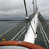 IMG_4220.JPG