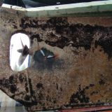 starker Bewuchs am Unterwasserschiff