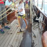 Hansesail 2018 016.jpg