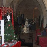 IMG_4231.JPG