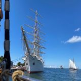 Sail009.jpg