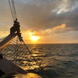 Sail021.jpg