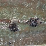 Einlassöffnungen von Kühlwasser und FL-Pumpe