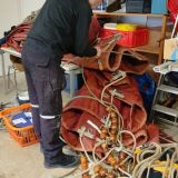 Korallen neu einbinden